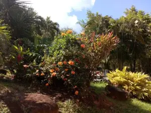 Oasis de Grande Anse