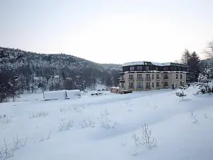 Hotel Ostrov