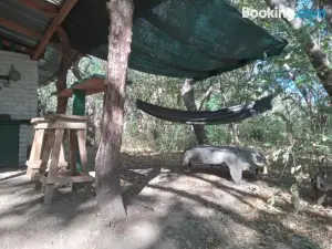 El Pirata Caracol