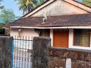 Chaitanya homestay nearby sea7304034389