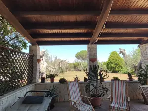 กอนตราดา มักคิอา บีแอนด์บี