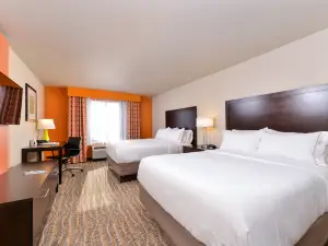 Holiday Inn Express & Suites HOUSTON NW - TOMBALL AREA by IHG