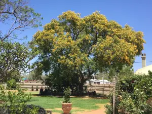 Club Boutique Hotel Cunnamulla