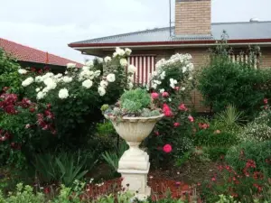 Admurraya House Bed & Breakfast