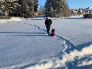 Lohelanranta