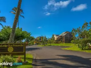 Oceanfront Condo with Panoramic Views!