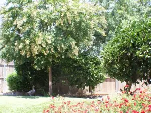 Gateway Retreat: Short Drive to the Sequoias