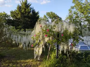 Chambres d'hôtes la Tour de Bellevue