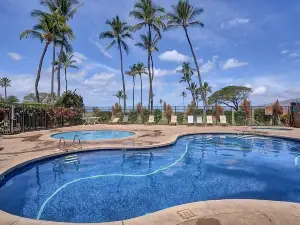 Sea-Rene & Tropical Vistas