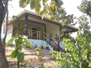 Tiger Valley Resort