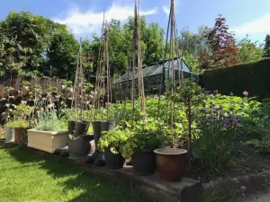 Tresillian House