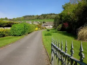 Pineforest Blarney Bed & Breakfast