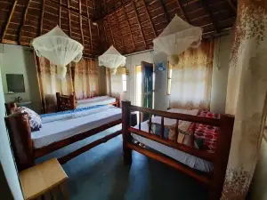 Tangi Safaris Lodge