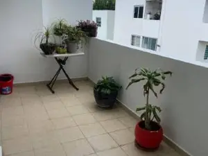 Morrita Place Zona Cholula