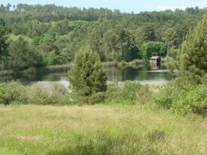 La Musardière