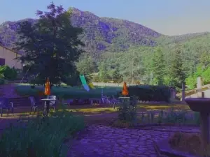 Hotel le Mas Fleuri