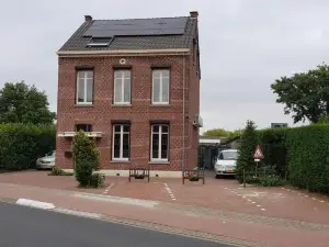Anno 1919