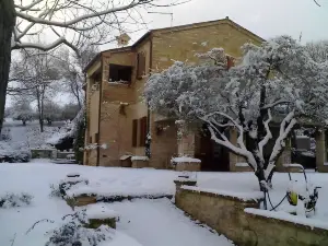 Bed and Breakfast la Casa Delle Rondini