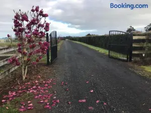 Self Contained Cottage Pukekohe