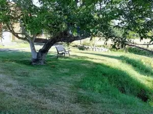 La Maison de Thelma