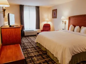 Hampton Inn by Hilton Torreon-Airport Galerias