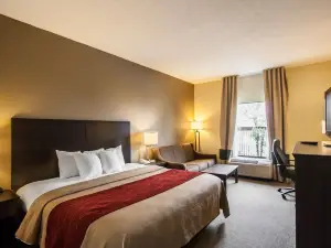Quality Inn Hayti North