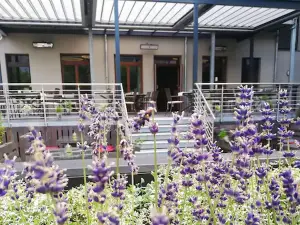 Alexxanders Hotel & Boardinghouse, Restaurant