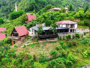 Gafulluk TATIL KOYU