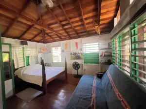 ทรีท็อป บีชฟรอนต์ คาบานา