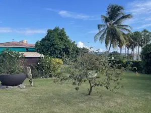 Airport Hotel