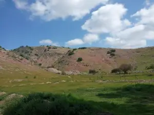 Domo, Cabaña, Tinaja El Rulo Coinco