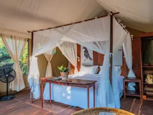 Camp Sabali & Safaris