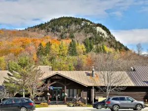 The Pico Escape- 3BR 2BA Ski On Ski Off at Pico Mountain, Close to Killington, condo