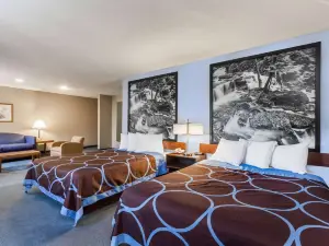 Super 8 by Wyndham East Stroudsburg/Poconos