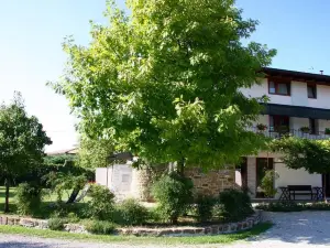 Casa Griunit