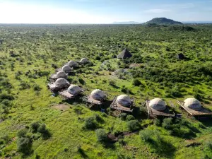 Kuoom Serengeti