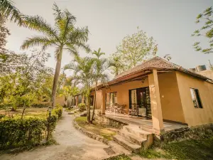 Into the Wild Eco Resort