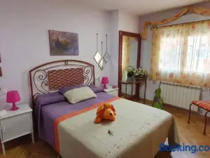 Coqueto