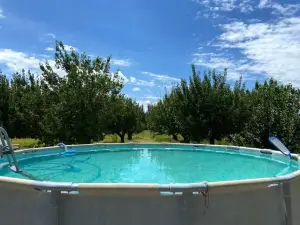 El Nono