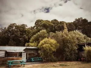 Boogaloo Camp