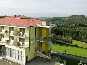 Hotel Liebmann