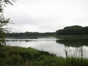 Ancien Moulin Avec Terrasse et Animaux acceptés - FR-1-497-84