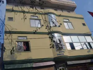 Hotel Pareek Palace