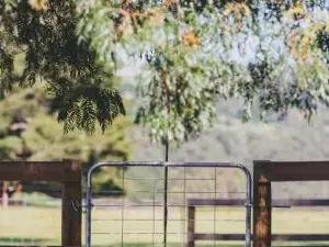Dalblair Bed & Breakfast
