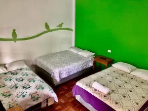 Hotel Eden