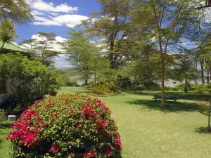 Elsamere Lodge Naivasha