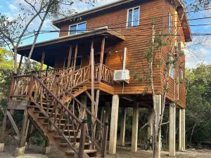 TMT Legacy Cabin
