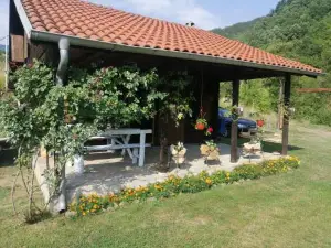 Galerija68