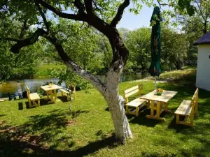 Apartments Manitovac M