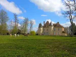 Manoir de la Camusière